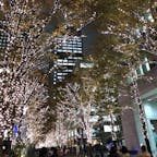 丸の内イルミネーション
丸の内から有楽町方面につづく街路樹。写真よりも実際に見たほうが何倍も綺麗でした。