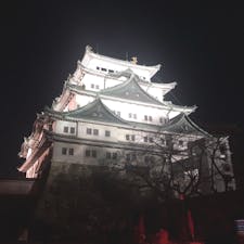名古屋そんな寒くなくてよかった。冬の夜にお散歩楽しめるのは強いわあ