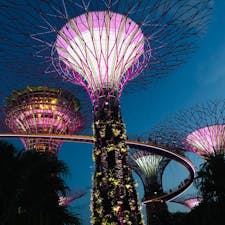 シンガポール
ガーデンズバイザベイ