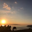 宮崎の最南端、都井岬の夕暮れ✨
野生のお馬さんをこんなに近くで拝めるとは😳
今年最後の旅行納めで良いものが見れました♪