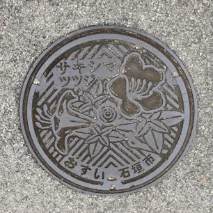 沖縄県石垣市　ハイビスカスではなくツツジ！