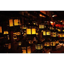 春日大社
中元万灯籠