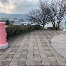 今年初めてのツーリング経路選択失敗し
渋滞に巻き込まれ目当ての開門岳見る事叶わず😩
道の駅指宿より