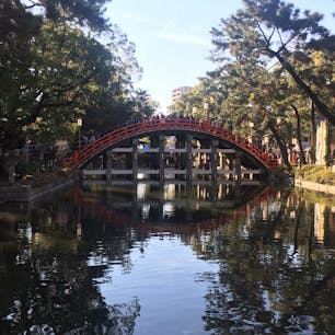 住吉大社[大阪]

2020年1月2日初詣
毎年参拝者200万人を超える住吉大社。10時頃に行ったらスイスイと参拝できました！

反橋がキレイ⭐︎