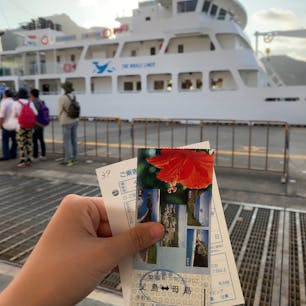 ははじま丸に乗って母島へ