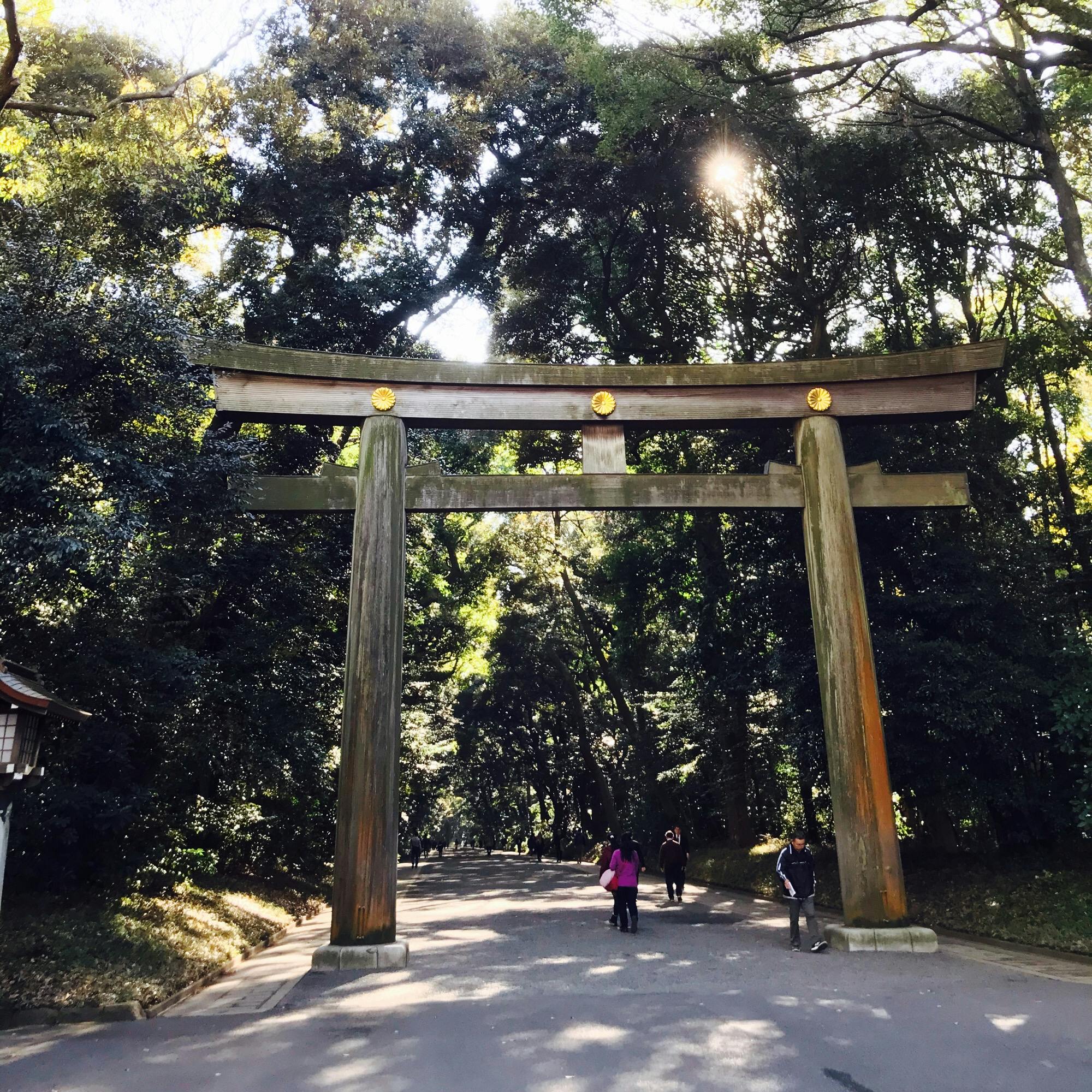 明治神宮 めいじじんぐう の投稿写真 感想 みどころ 明治神宮 トリップノート 明治神宮 めいじじんぐう の投稿写真 感想 みどころ 明治神宮 トリップノート