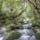 屋久島の白谷雲水峡。もののけ姫のモデルになったと言われているだけあり、本当に幻想的な雰囲気。
#屋久島 #白谷雲水峡 #もののけ姫