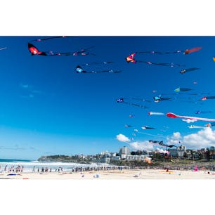 オーストラリア、シドニーのボンダイビーチで開催されたFestival of the Winds(凧揚げ祭)！メディアパスを頂いたので関係者ゾーンから撮影できました！たくさんの観客がこのフェスティバルに訪れていました。