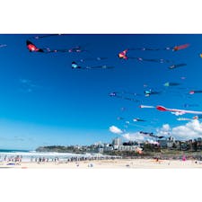 オーストラリア、シドニーのボンダイビーチで開催されたFestival of the Winds(凧揚げ祭)！メディアパスを頂いたので関係者ゾーンから撮影できました！たくさんの観客がこのフェスティバルに訪れていました。