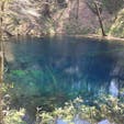 青森県、十二湖にある青池です。
ホントにインクを流したような透き通った青でした。
GWの最中に行きましたが、弘前や角館に人が集中してたせいか、この景色は独り占めできました。