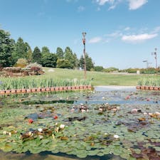 滋賀県 みずの森