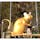 辰水神社：ネズミのオブジェは高さ3m、地元住民で作る「ふるさと愛好会」のみなさんが作る。オリパラ、聖火リレーのト－チを掲げ、脇に置かれた門松の竹の切り口は五輪になっています🎍