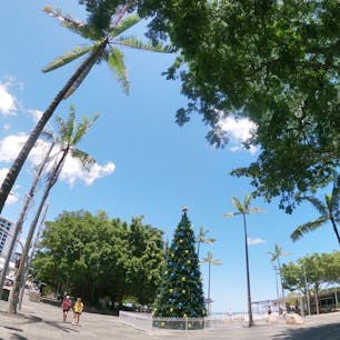 #エスプラネードラグーン #ケアンズ #オーストラリア 
2019年12月

真夏のクリスマスツリーはオーストラリアならでは🎄