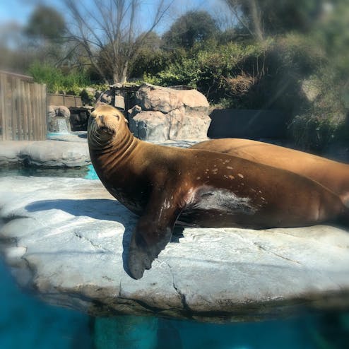 恩賜上野動物園