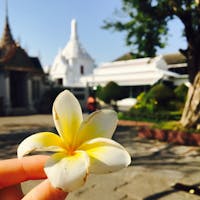 ワット プラケオ、グランドパレスの中で拾ったお花🌼