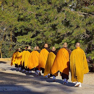 京都
仁和寺
夕方のお勤めに各お堂をまわられます。