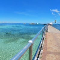 #グリーン島 #グレートバリアリーフ #オーストラリア 
2020年1月

先にセスナ機でグリーン島を上空から眺めてたから
すごく期待値が高くなってたけど流石は世界遺産の海🏝

上陸しても期待を裏切らない美しさだった🥺🥺