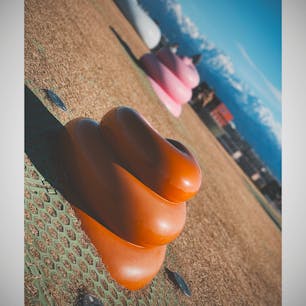 富山県美術館　ぷりぷり