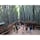 京都府嵯峨野区嵐山にある『竹林の小径』
GoProで撮影すると異世界観が増しますね‼︎

#京都
#嵐山
#竹林