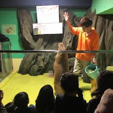 竹島水族館[愛知]

海の生き物1匹1匹に、スタッフさん手作りの履歴書がある水族館。

すごくユーモアがあって、普段あまり見ずに通り過ぎてしまうような魚でも、履歴書を見れば一気に興味が沸く！

日本で唯一のカピバラショーは、カピバラちゃんの気分次第だけどそれがまた癒される⭐︎