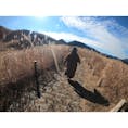 奈良県宇陀郡にある曽爾高原へ‼︎
一面に広がるススキ🌾は圧巻でした‼︎

山の中にある高原なので車で行くのがおすすめ🚗
ベストシーズンは11月ごろかと…

#奈良
#曽爾高原
#ススキ