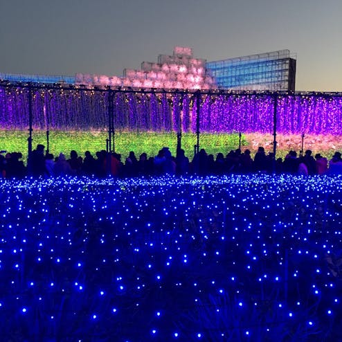 なばなの里 イルミネーションの写真 なばなの里 トリップノート なばなの里 イルミネーションの写真 なばなの里 トリップノート