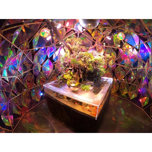 金魚ミュージアム