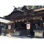 4月中旬
.
朝ごはんの後、中野うどん学校での体験を終えた後、こんぴらさんへ。
785段歩いて、幸福の黄色いお守りを手に入れました☺️
(奥社までは時間の都合上行けませんでした)
まるで登山のような達成感がありました。