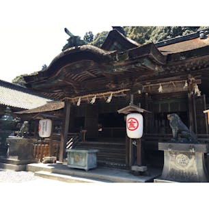 4月中旬
.
朝ごはんの後、中野うどん学校での体験を終えた後、こんぴらさんへ。
785段歩いて、幸福の黄色いお守りを手に入れました☺️
(奥社までは時間の都合上行けませんでした)
まるで登山のような達成感がありました。