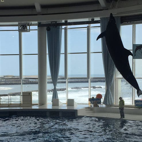 アクアワールド茨城県大洗水族館