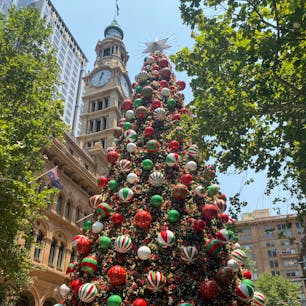 クリスマス🎄☀️
#Sydney
#シドニー