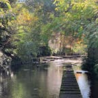 三島
源兵衛川水辺の散歩道①