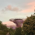 Gardens by the bay in Singapore