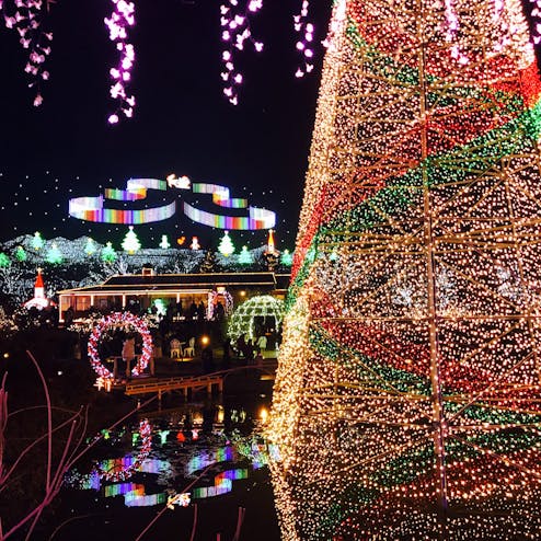 あしかがフラワーパーク