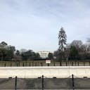 22年 ホワイトハウス The White House はどんなところ 周辺のみどころ 人気スポットも紹介します