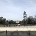 Feb.3.2019 Washington D.C.