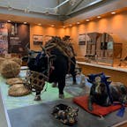 アグリパーク竜王
近江牛ハンバーグ、近江牛丼
#202001 #s滋賀 #s道の駅