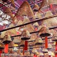 香港最古のお寺で、上から吊された円錐形の線香が並ぶ様子がフォトジェニックな文武廟（マンモウミウ）。住宅街にひっそりと佇む小さなお寺で、ガイドブックの表紙を飾るほど有名なスポットです。線香は大きいものだと1～3ヶ月も燃え続けるそうです！#香港 #文武廟