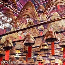 香港最古のお寺で、上から吊された円錐形の線香が並ぶ様子がフォトジェニックな文武廟（マンモウミウ）。住宅街にひっそりと佇む小さなお寺で、ガイドブックの表紙を飾るほど有名なスポットです。線香は大きいものだと1～3ヶ月も燃え続けるそうです！#香港 #文武廟