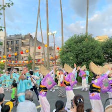 阿波おどり2019
#201908 #s徳島