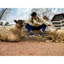 兵庫県神戸市にある『六甲山牧場』

一体何匹いるんだという羊の数に圧倒されました。

そしてその分💩もたくさん落ちてました。笑

#兵庫
#神戸
#六甲山
#六甲山牧場
#羊