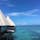 ニューカレドニア
メトル島の水上コテージ🌴
天国に一番近い国🇳🇨