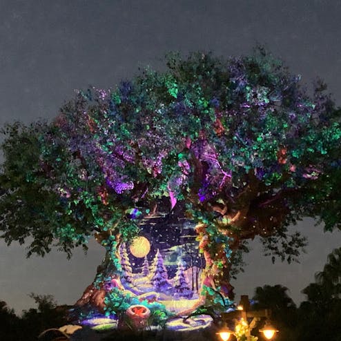 ディズニー・アニマルキングダム