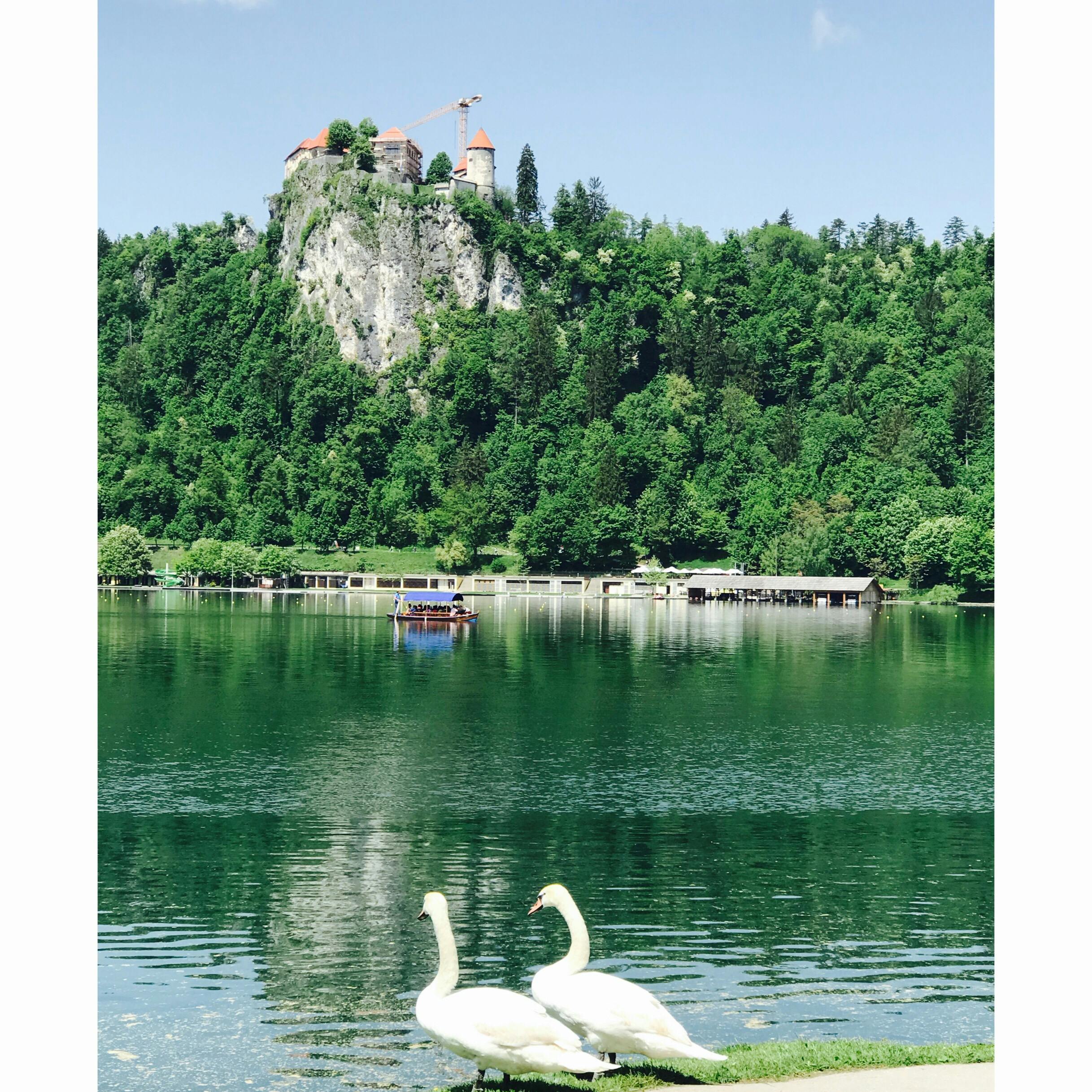 ブレッド湖 Bled Lake の投稿写真 感想 みどころ ブレッド湖２枚目ですが 晴れると断然キレイなので投稿です トリップノート
