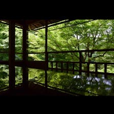 この前行った瑠璃光院
秋の紅葉がとっても楽しみだ🍁