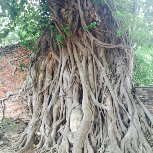 ワット・プラ・マハタート