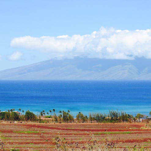 マウイ島