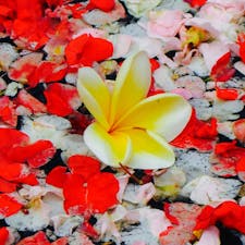 バリ島 Kayumanisでのキャンドルライトディナー