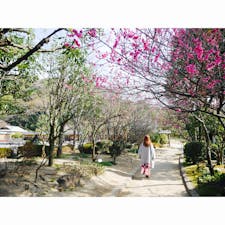 愛媛県　松山城二ノ丸庭園