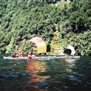 ニュージーランド、南島、ダウトフルサウンド。ミルフォードサウンドと並ぶ人気のフィヨルドでカヤックツアー！